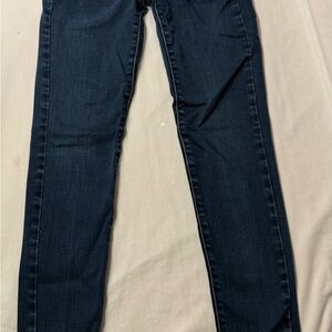 American Eagle Outfitters Dark Blue Skinny Jeans
